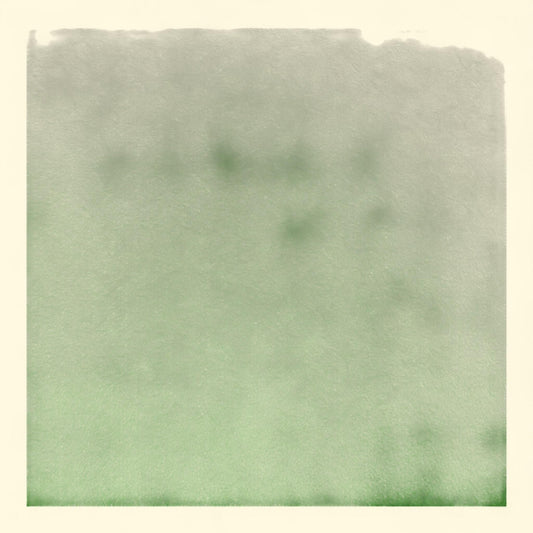 Singer Fabric, Felt Green, 100% Polyester, 36 In