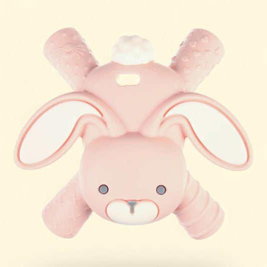Ritzy Teether Bunny, One Size ? Ritzy Teether Bunny, 1 count