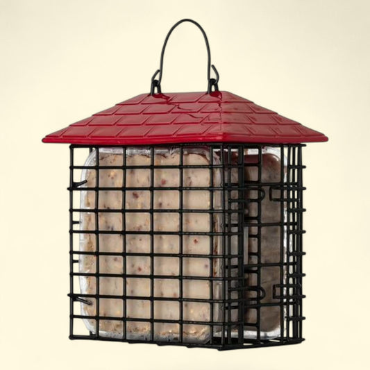 More Birds Double Suet Feeder, Wild Bird, 1 count