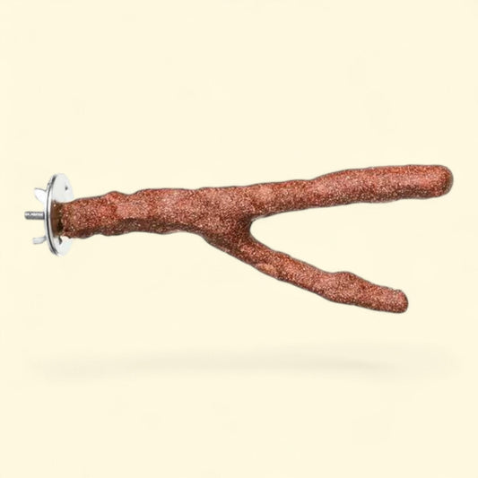 Perchoir « Cosmic Crunch » de Prevue Pet Products Pacific, en coquillage brun et bois, 15 cm