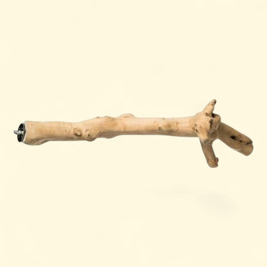 Perchoir en bois de caféier en forme de Y de Prevue Pet Products, 45 cm
