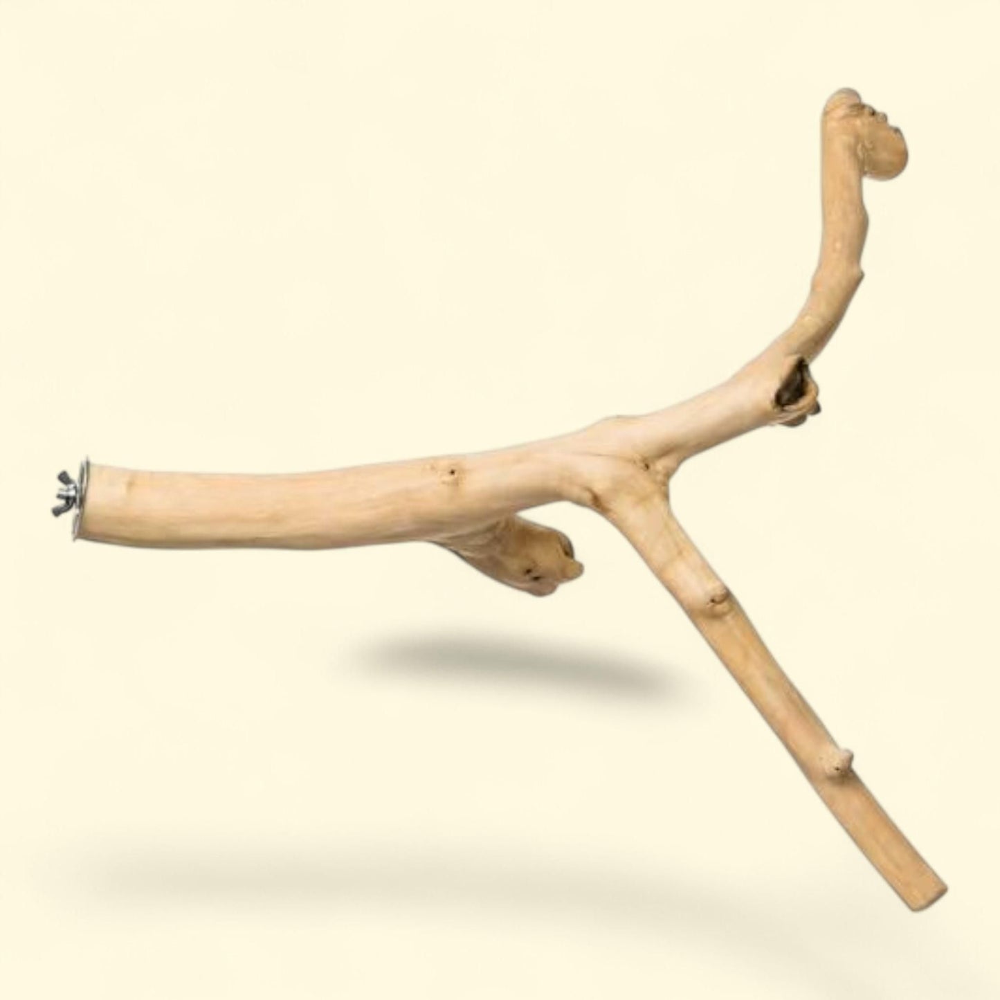 Prevue Pet Products Y-Branch Coffea Wood Bird Perch, 24 inch