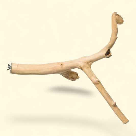 Perchoir en bois de caféier en forme de Y de Prevue Pet Products, 61 cm