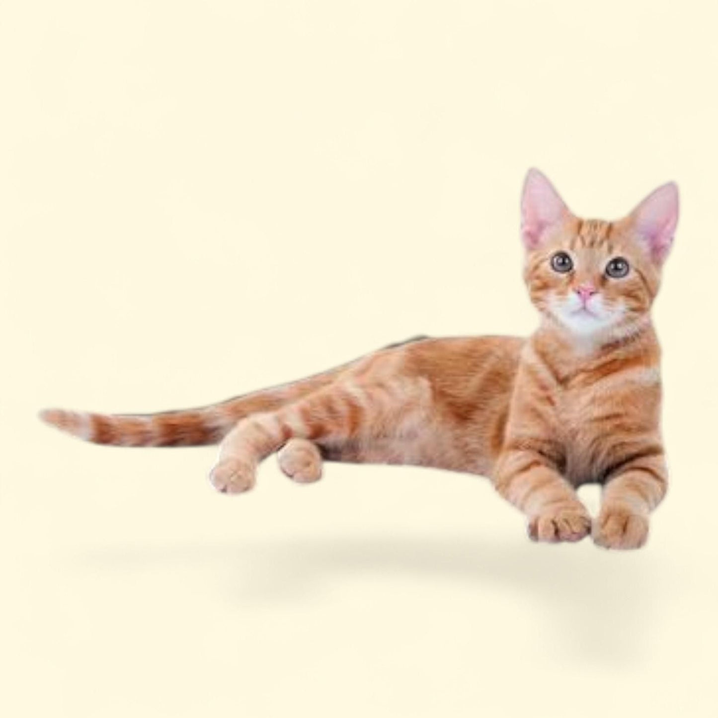 K&H Pet Products Self-Warming Pet Pad, 21 X 17 Inches