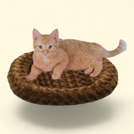 K&H Pet Products Thermo-Kitty Fashion Splash, petit modèle rond de 45 cm