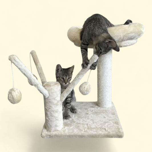 Majestic Pet Kitty Napper & Jungle Gym Cat Scratching Post, Perch, Toy, Sisal Post, 1 count