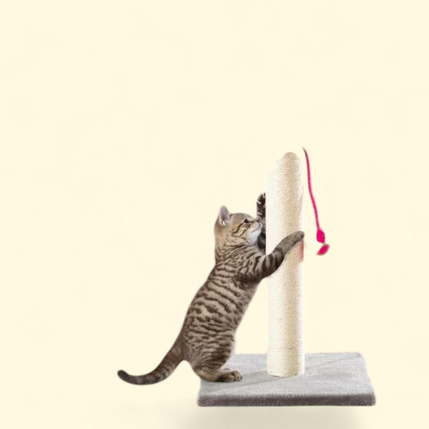 PETMAKER Cat Scratching Post, 17 Inch