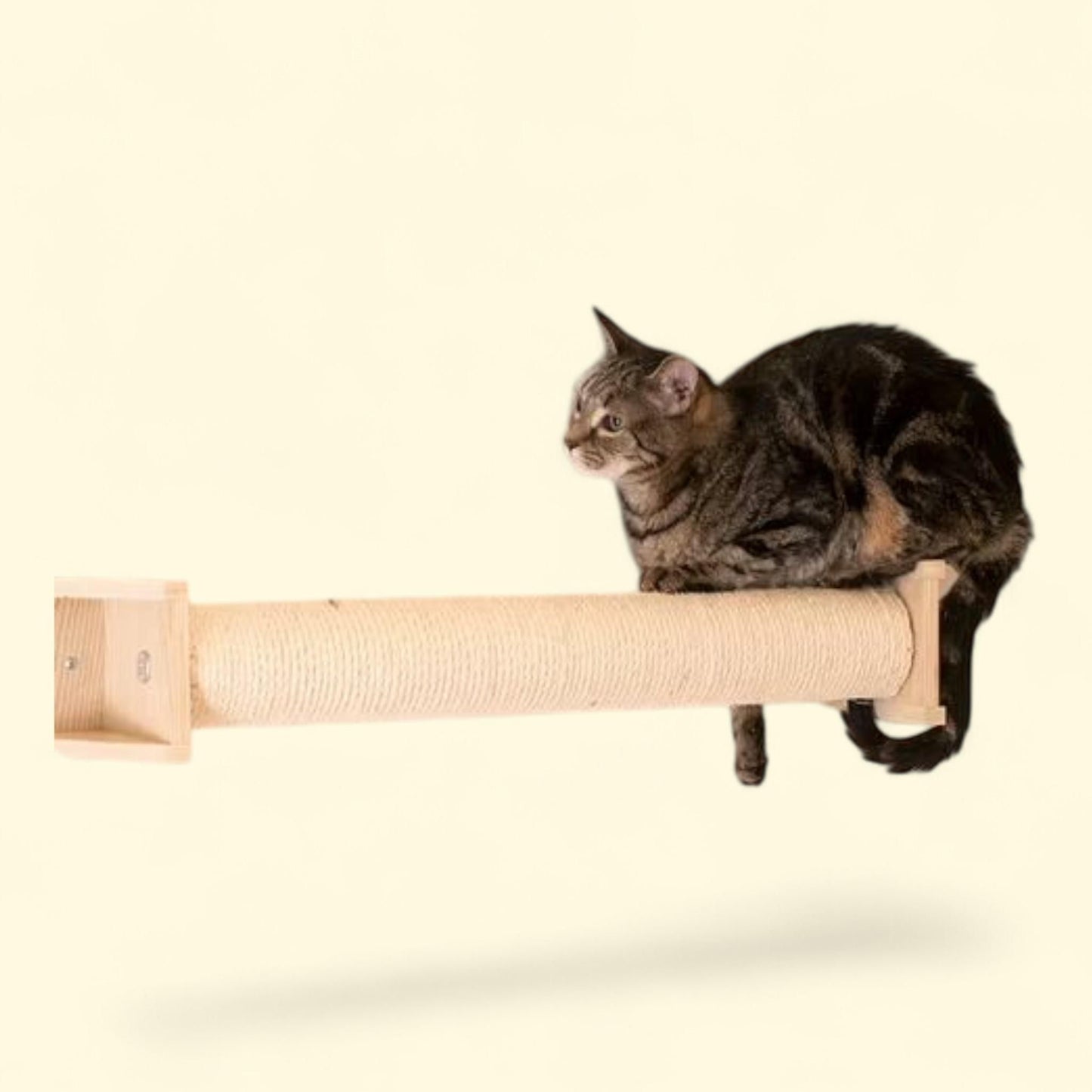 Armarkat Wall Series: Real Wood Scratching Post, W1907D, Weight
3 lb
