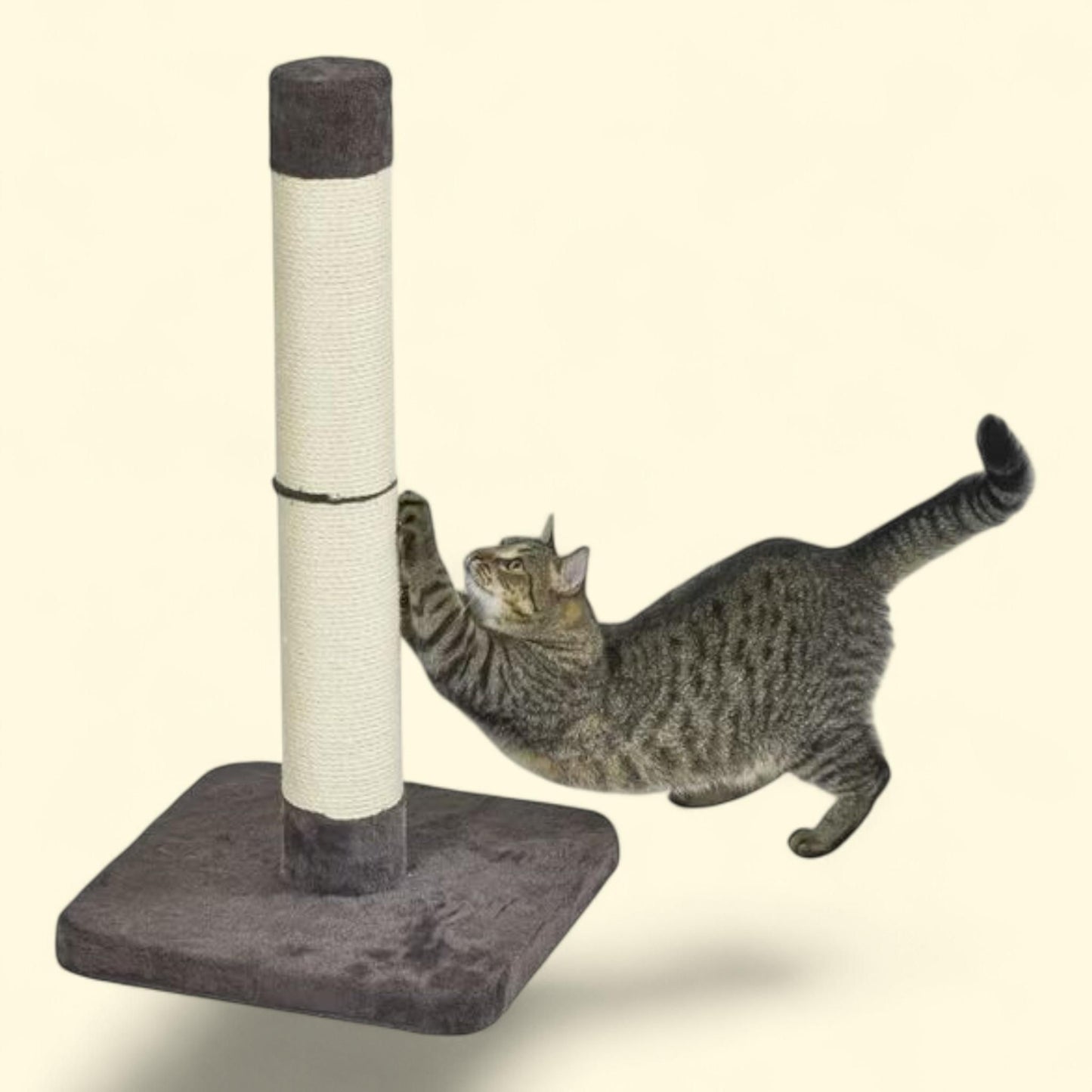 MidWest Homes for Pets, Feline Nuvo, Medium, Forte Cat Scratching Post, Weight
13.8 lb
