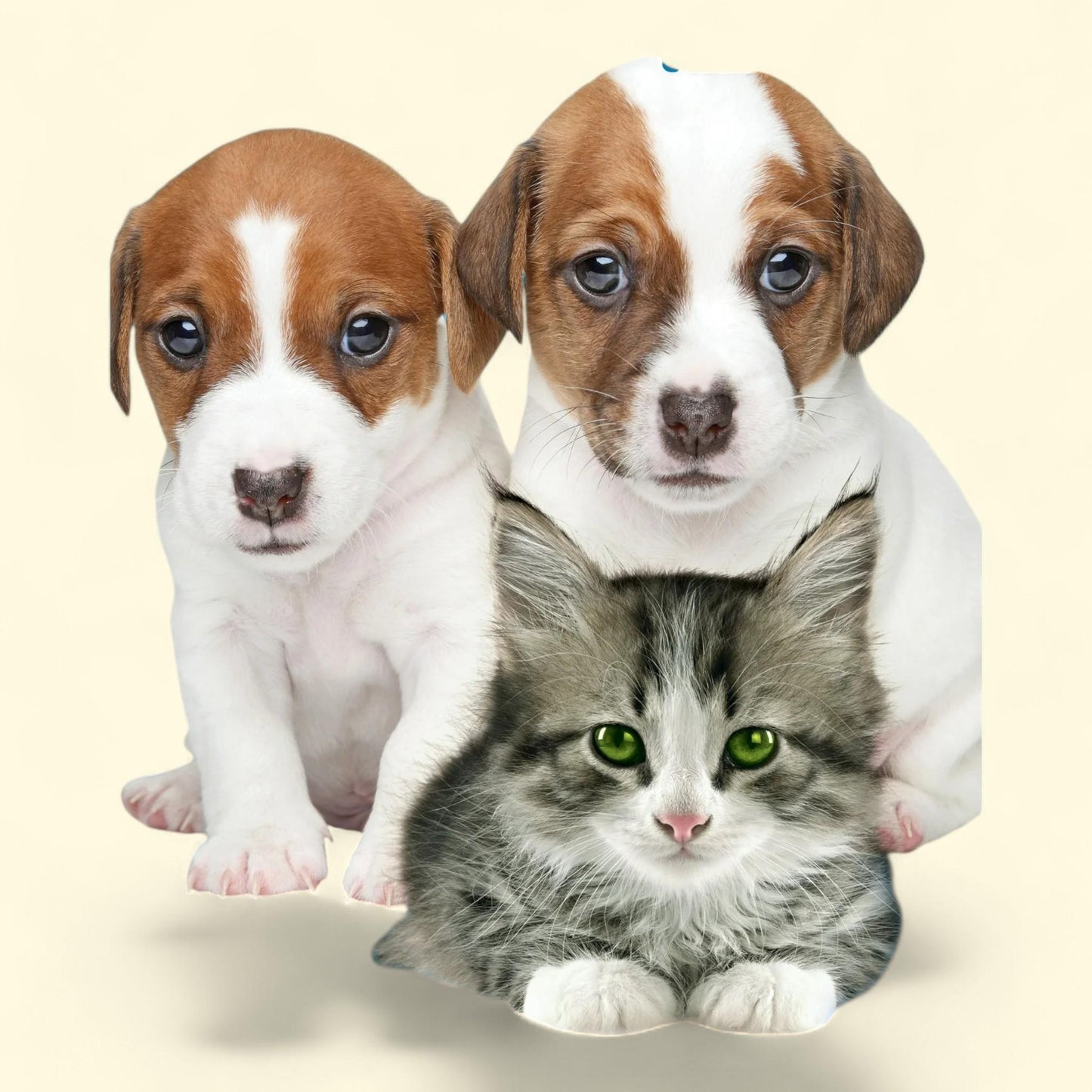 Bendon Pet Pals Jumbo Coloring Book, 64 Pages