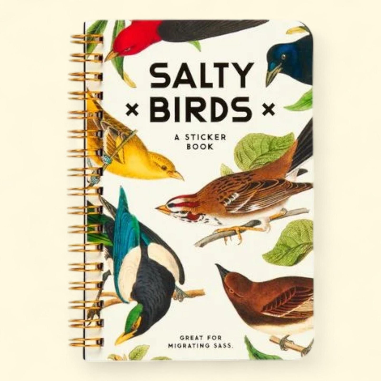 Brass Monkey Sticker Book: Salty Birds Sticker Book, Stickers