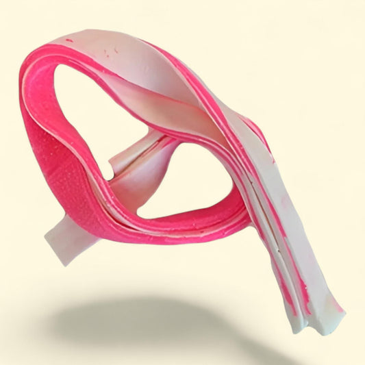 Leurre de pêche Fishbites E-Z Shrimp, couleur chair et rose, longue durée,