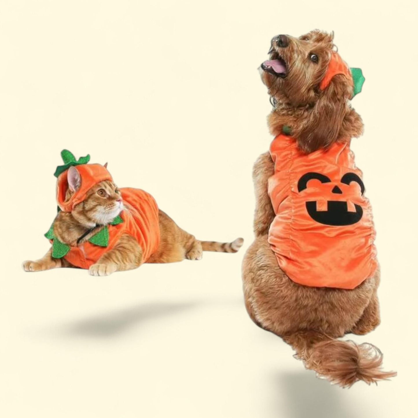 Vibrant Life Costume Pumpkin Small — authentic US product shipped worldwide by Treatspree