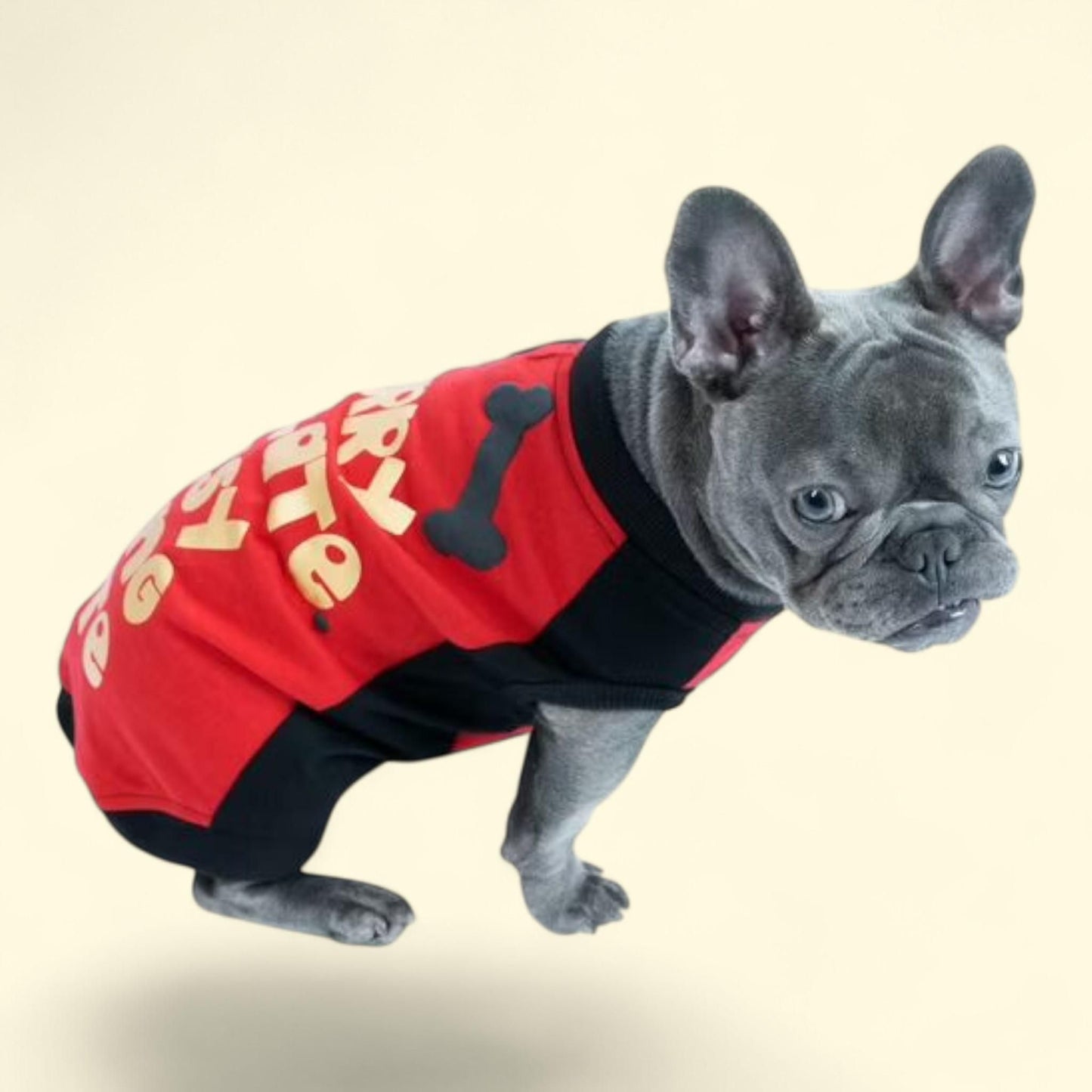 JOLLY KNITS Dog Tshirt, Small — authentic US product shipped worldwide by Treatspree