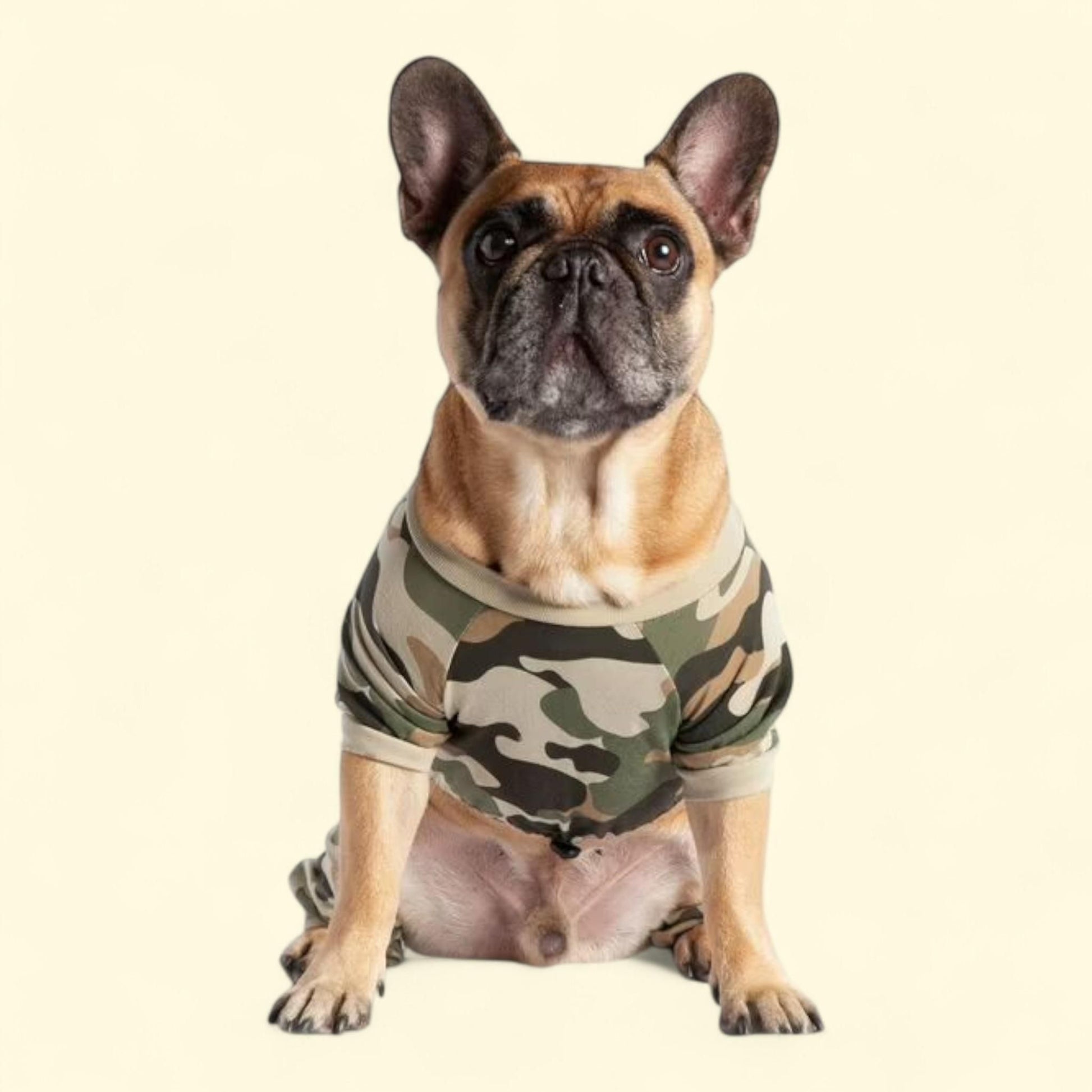 Coco + Rebel Dog Pajama, Camo, Medium — authentic US product shipped worldwide by Treatspree