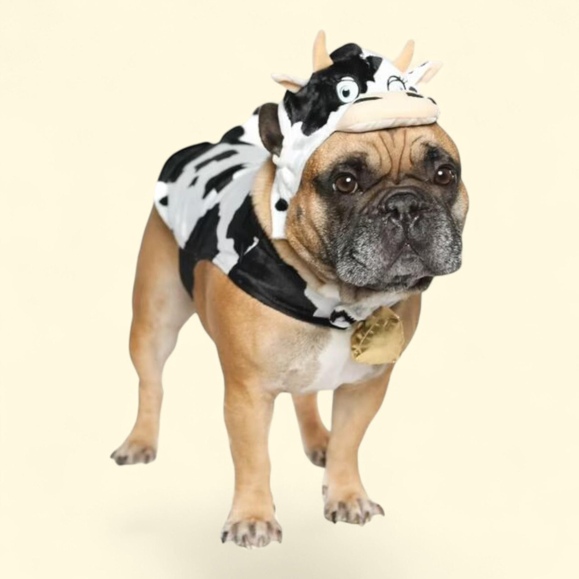 Vibrant Life Dog Costume and Cat Costume, Cow, Size S — authentic US product shipped worldwide by Treatspree