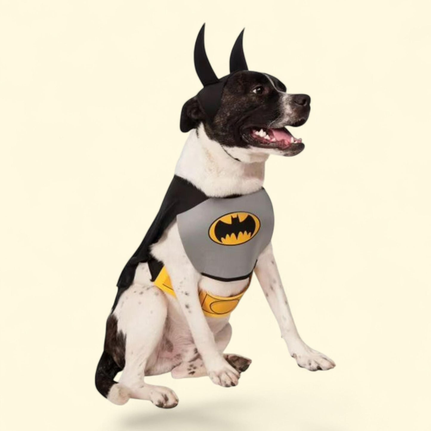 Rubies Batman Pet Costume Accessory Set, XL — authentic US product shipped worldwide by Treatspree