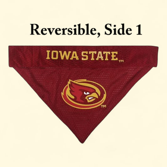 Pets First Collegiate Reversible Bandana, Iowa State, Home & Away Mesh & Premium Embroidery, for Dogs & Cats