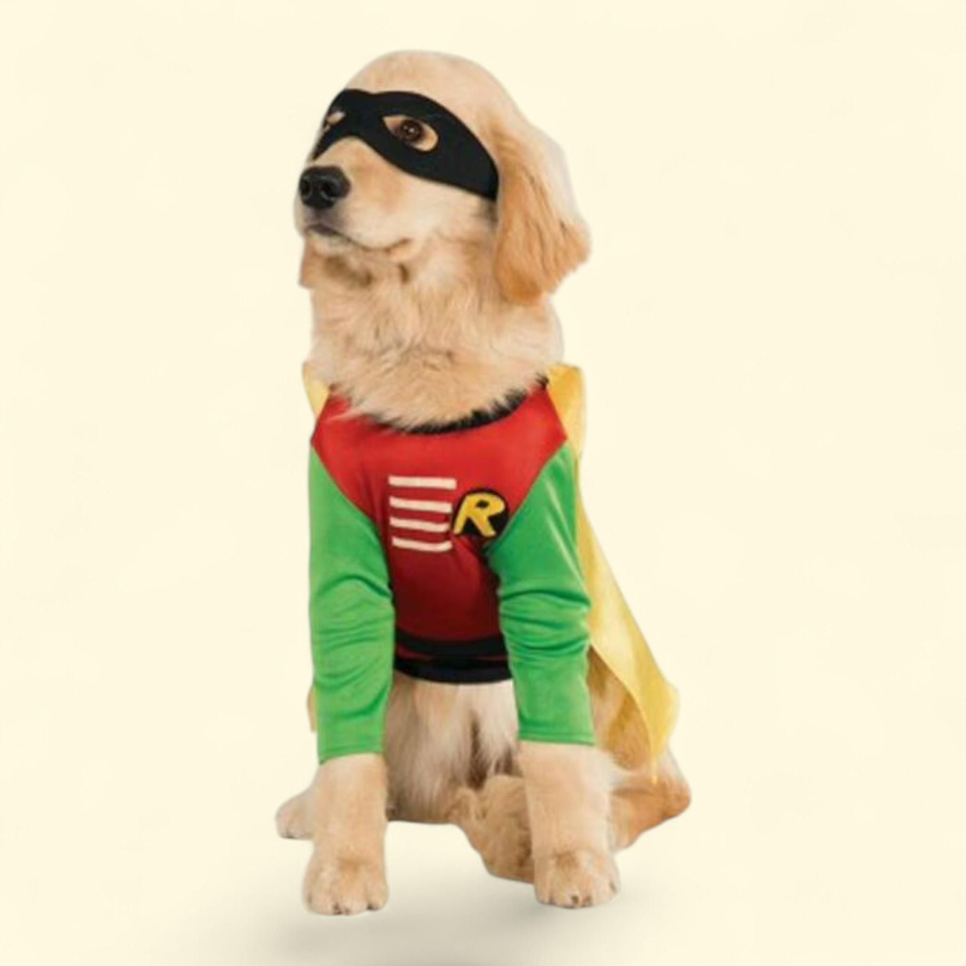 Rubies DC Comics Classic Robin Pet Costume, Medium — authentic US product shipped worldwide by Treatspree