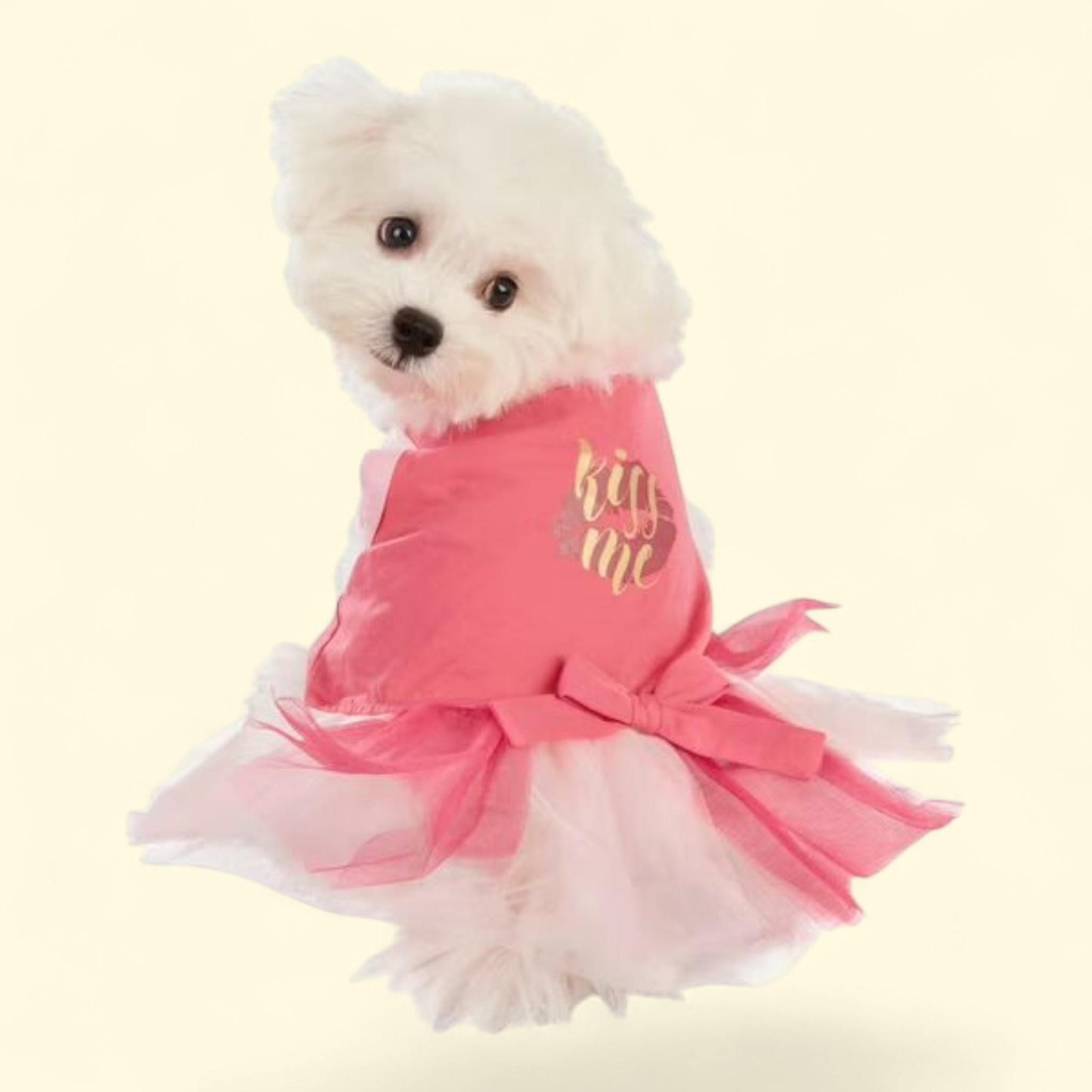 Best Furry Friends Dress, Kiss Me, X-Small