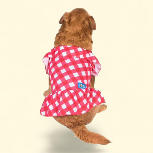 The Dodo Summer Dress, Small