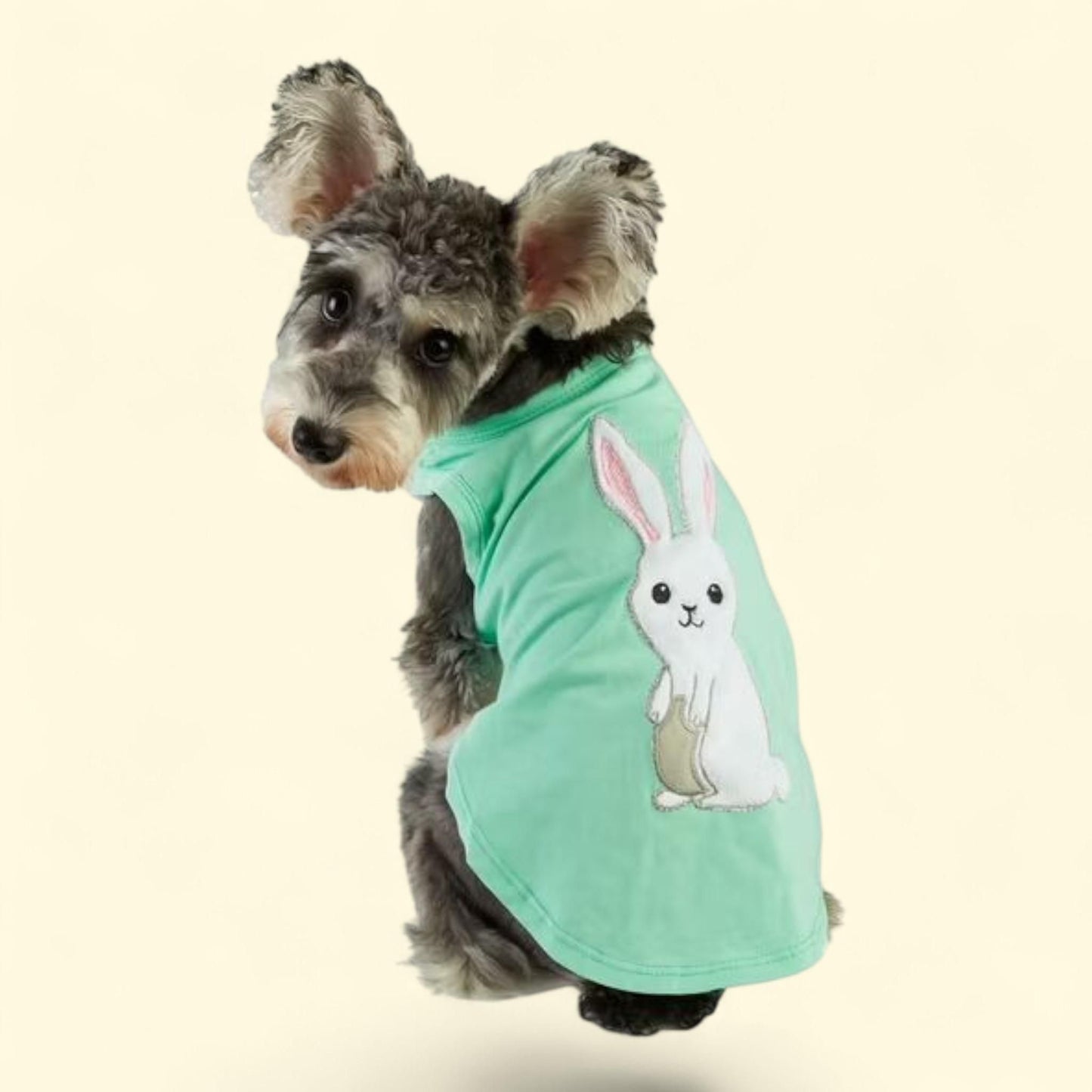 Best Furry Friends T-Shirt, Bunny, Medium