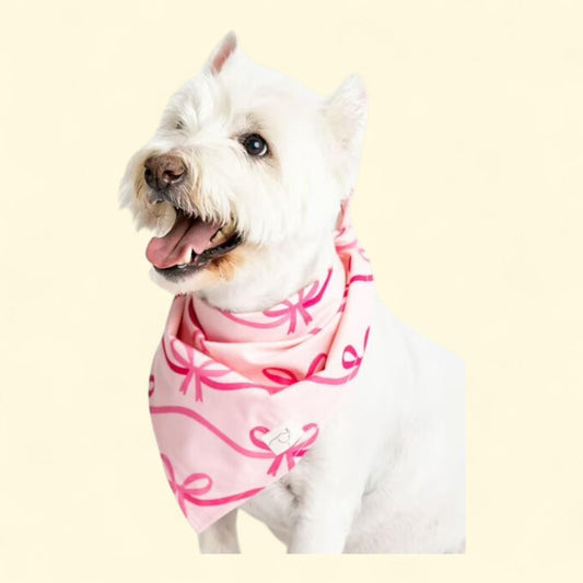 Paris Hilton x Monica + Andy Pet Bandana, Organic Cotton, One Size