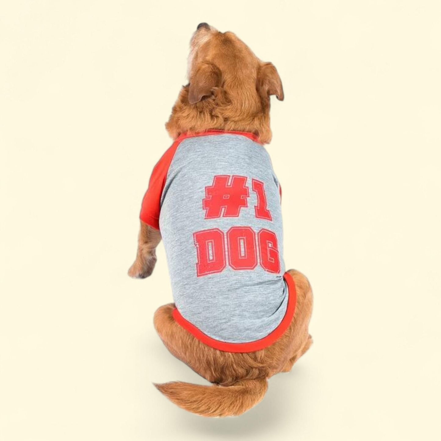 The Dodo: Retro #1 Dog T-Shirt x-Small
