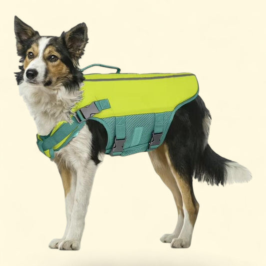 Gilet de flottaison Vibrant Life pour chiens, jaune, taille moyenne