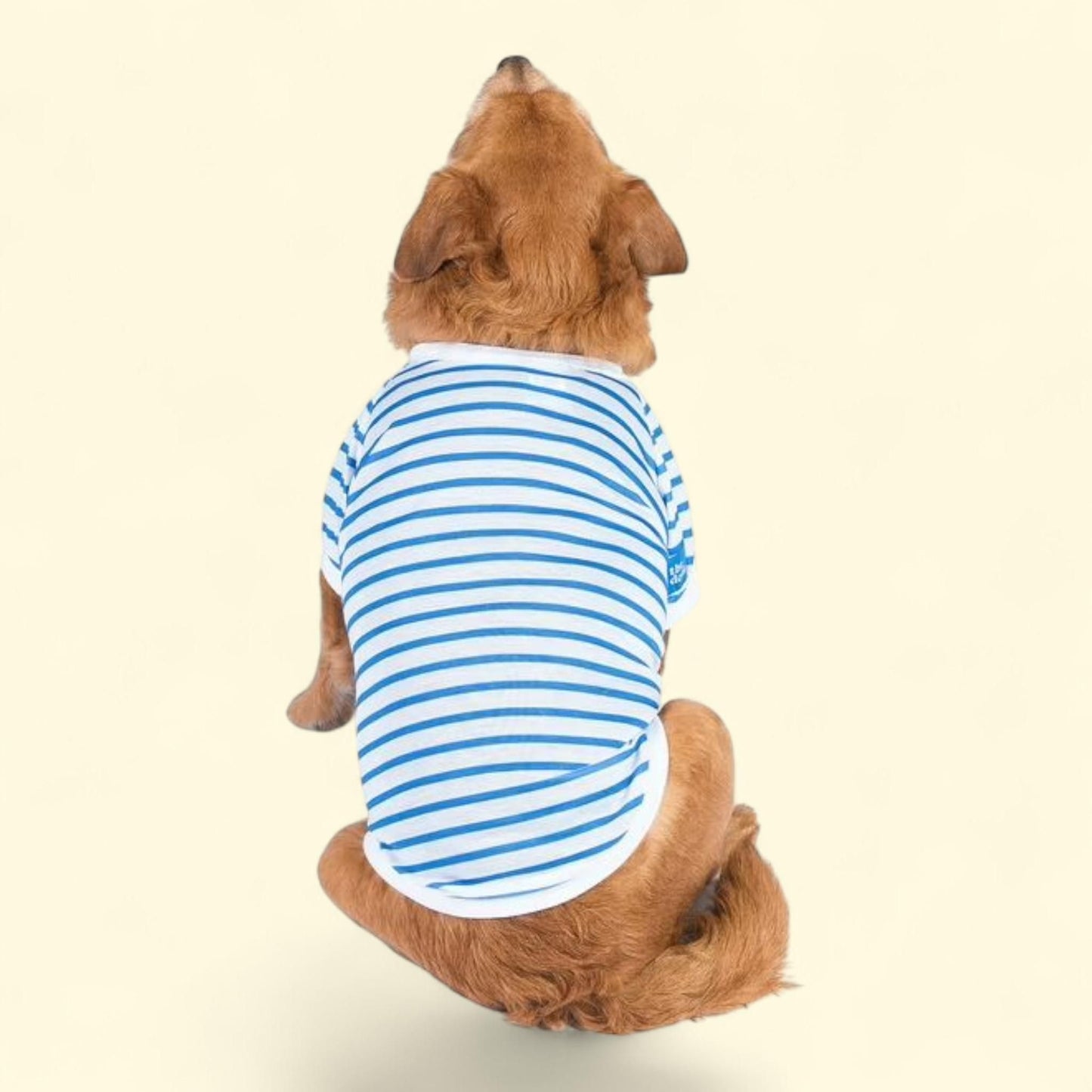 Dodo Blue and White Striped T-Shirt, Large