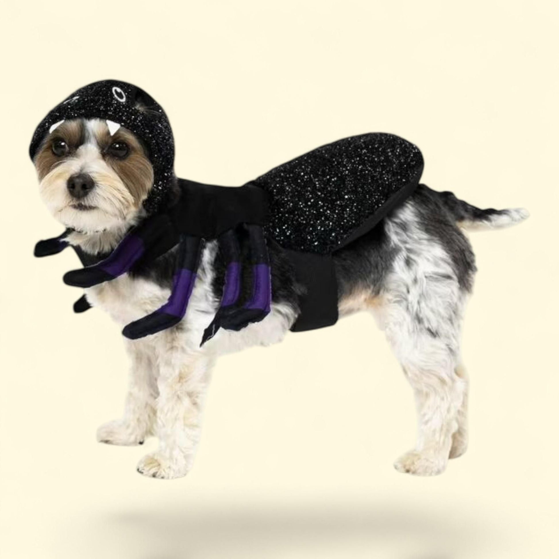 Vibrant Life Dog and Cat Costume: Spider, Size Extra-Small — authentic US product shipped worldwide by Treatspree