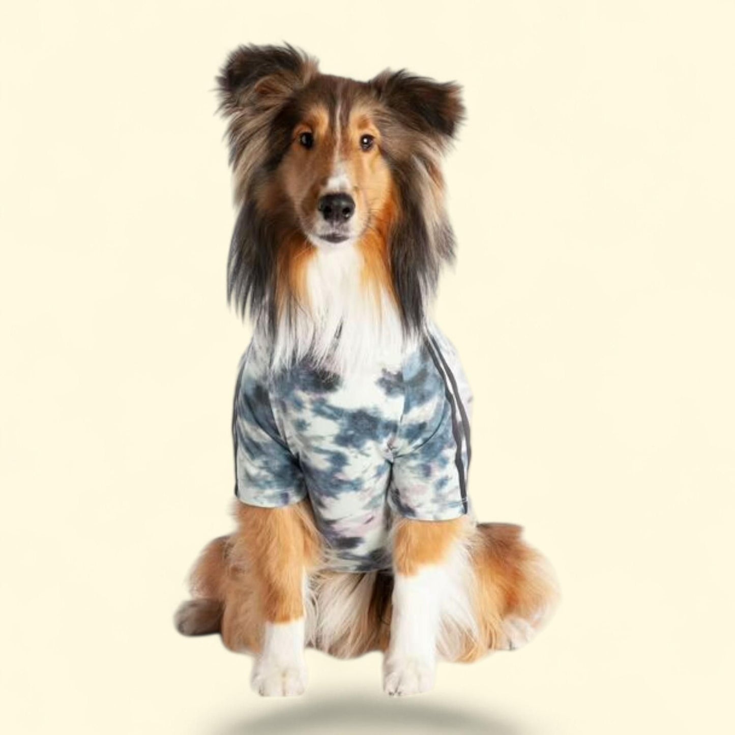Coco + Rebel Athletic Dog T-Shirt, Tie-Dye, Medium