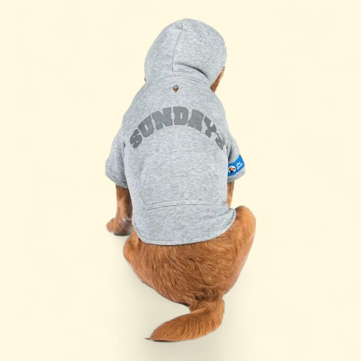 The Dodo Sundays Dog Hoodie, Large