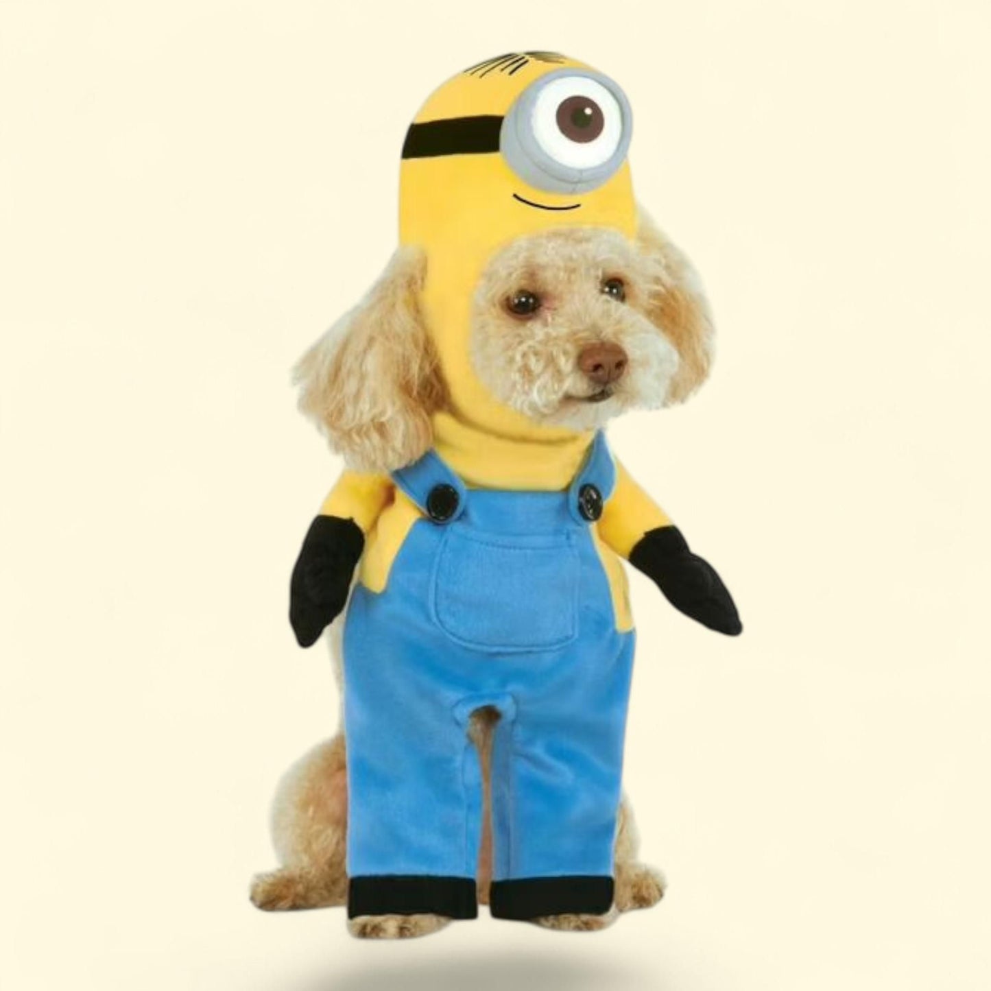 Rubies Despicable Me Minion Stuart Walking Pet Costume, Medium