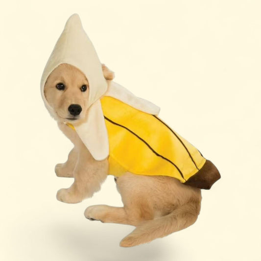 Rubies Banana Pet Costume, XL