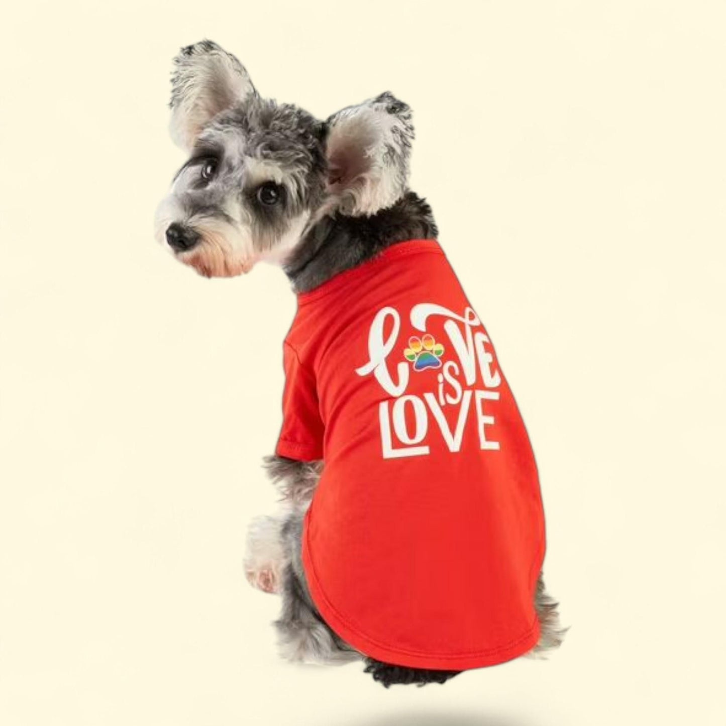 Best Furry Friends Pride Love T-Shirt, Dog and Cat Clothing