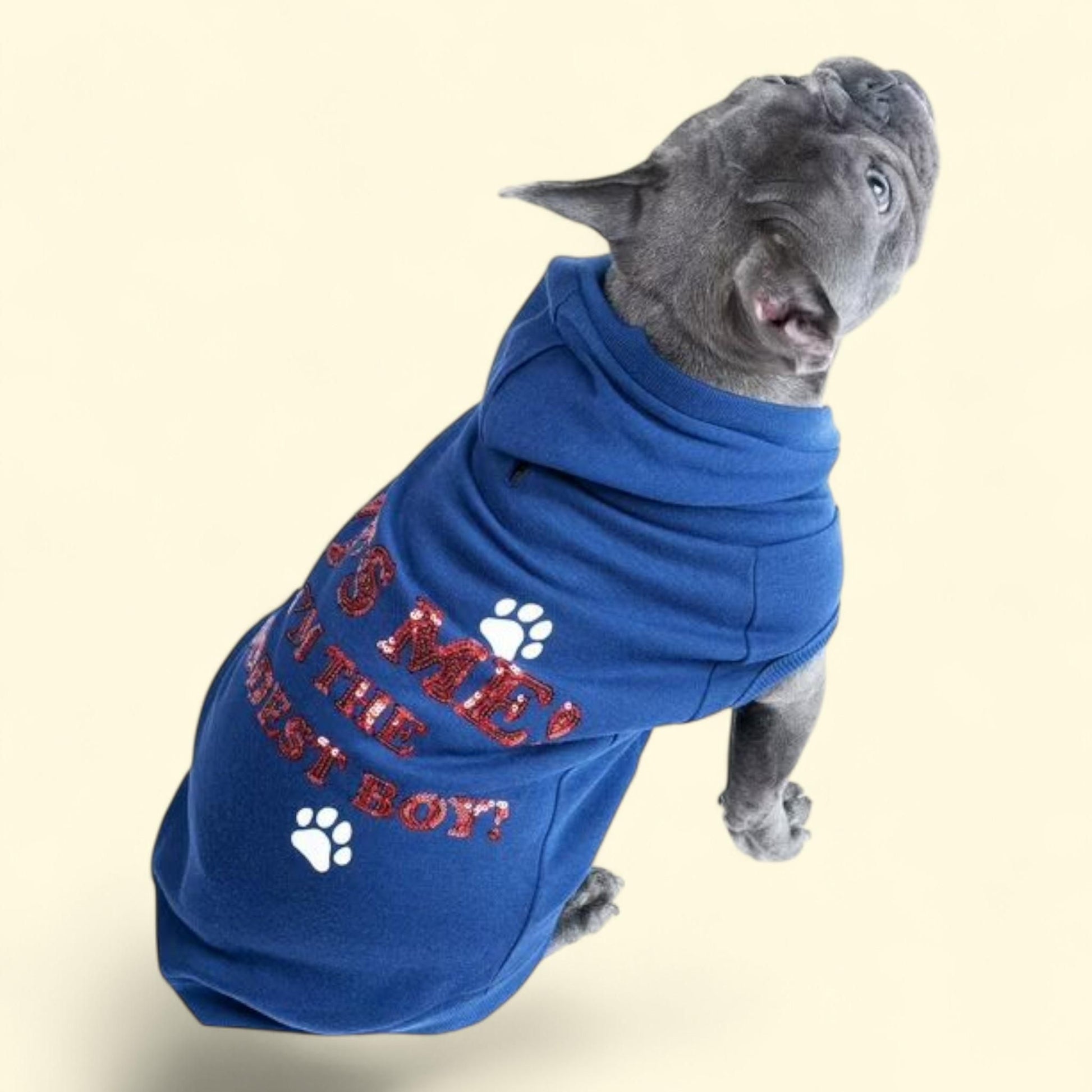 JOLLY KNITS Dog Hoodie, XXLarge — authentic US product shipped worldwide by Treatspree