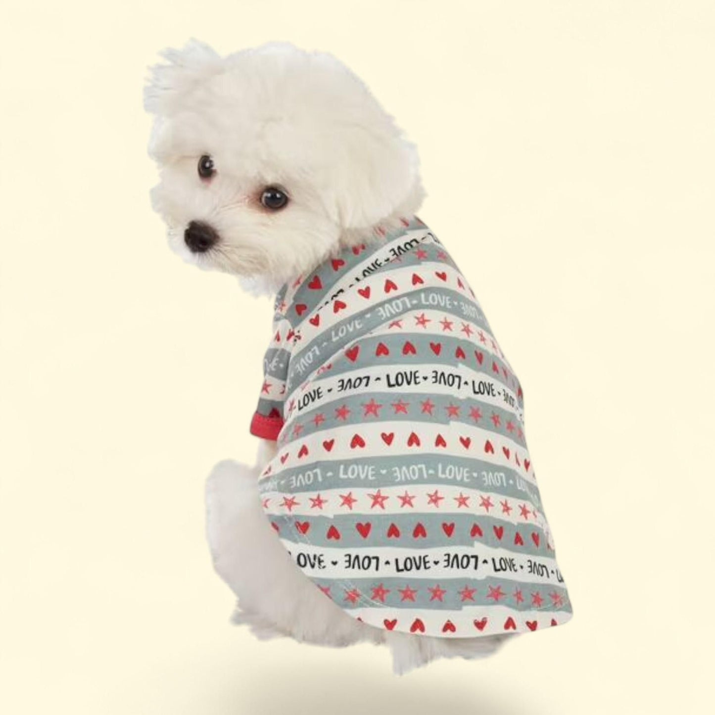 Best Furry Friends T-Shirt, Valentine Print, Small