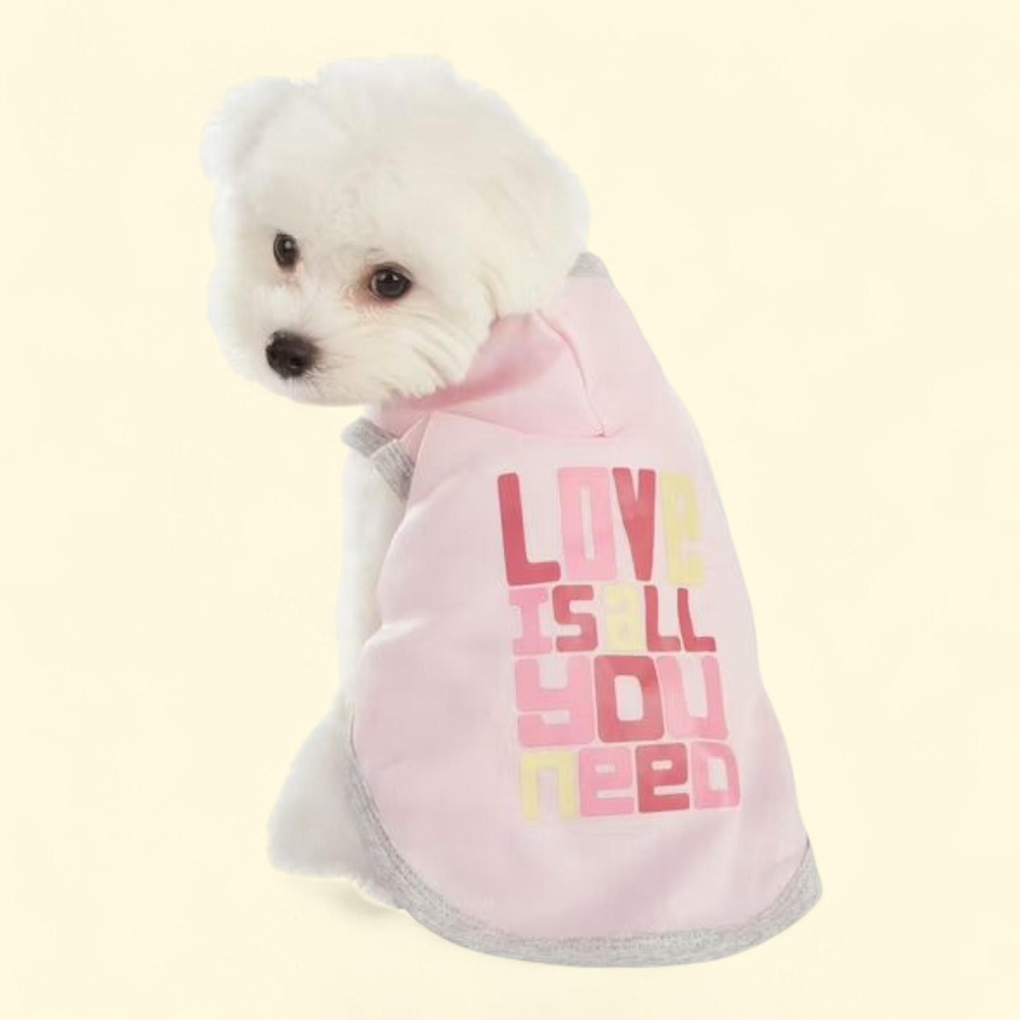 Best Furry Friends Hoodie, Love, Large