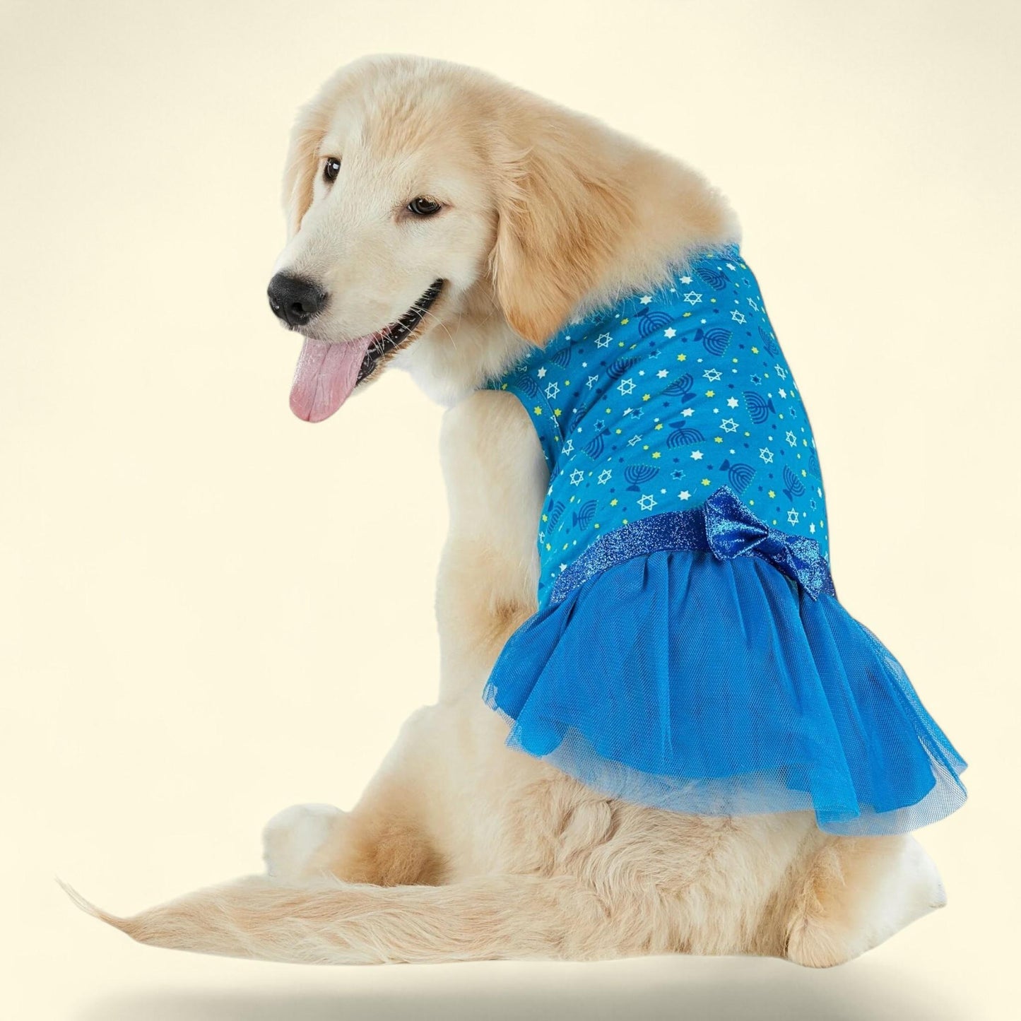 Best Furry Friends Dress, Hanukkah, Medium