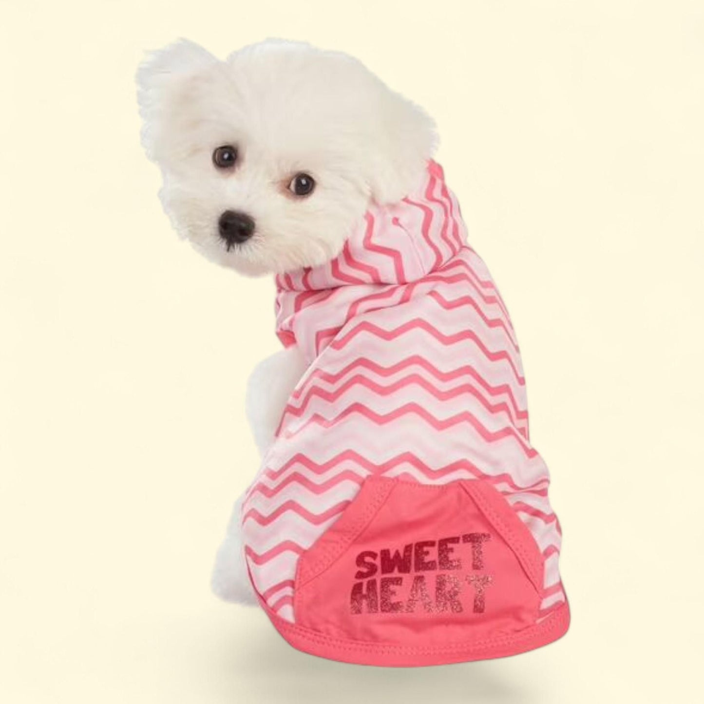 Sweat à capuche « Best Furry Friends », Sweetheart, taille L