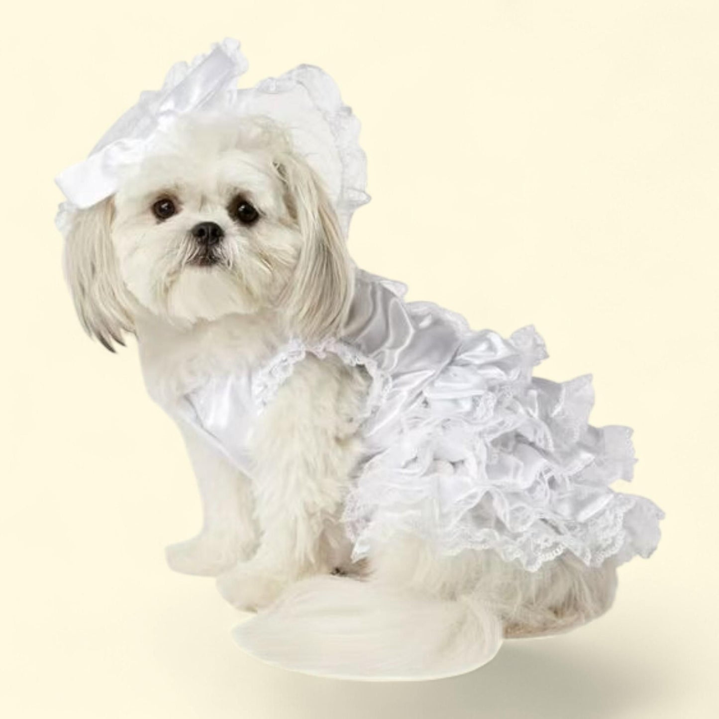 Dog Bride Dress & Veil, Size: 10-12" — authentic US product shipped worldwide by Treatspree