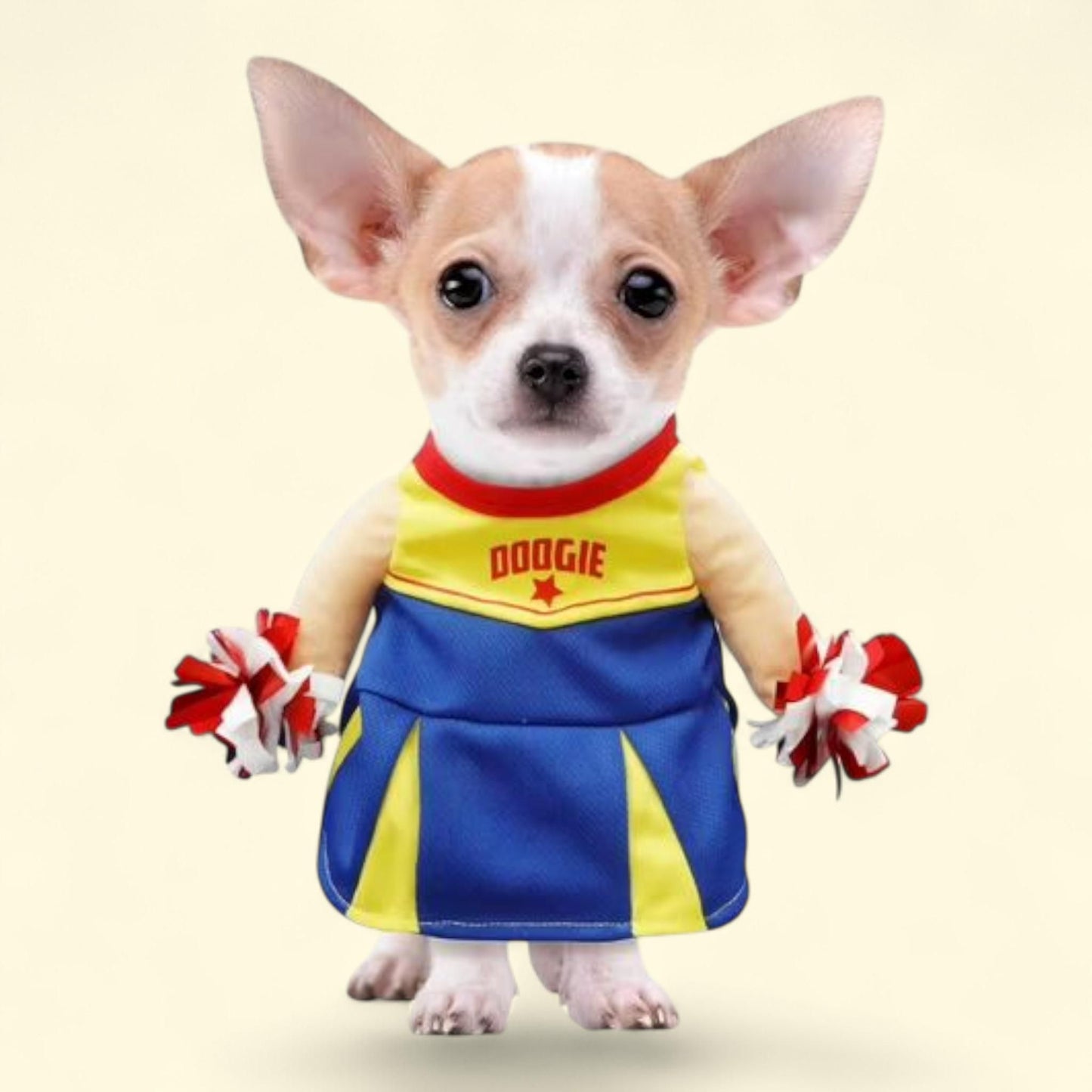 Best Furry Friends Costume, Cheerleader, Medium
