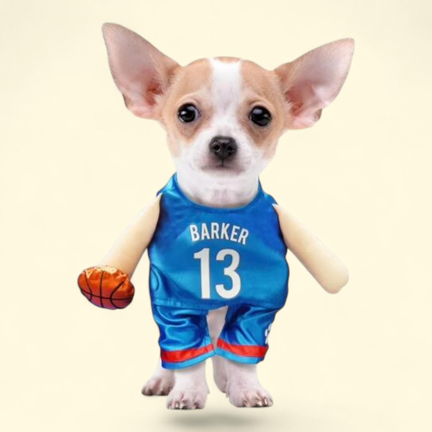 Best Furry Friends Costume, Basketball Player, Large