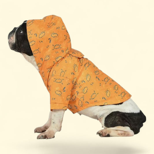 Dodo Rainy Days Dog Raincoat, Medium