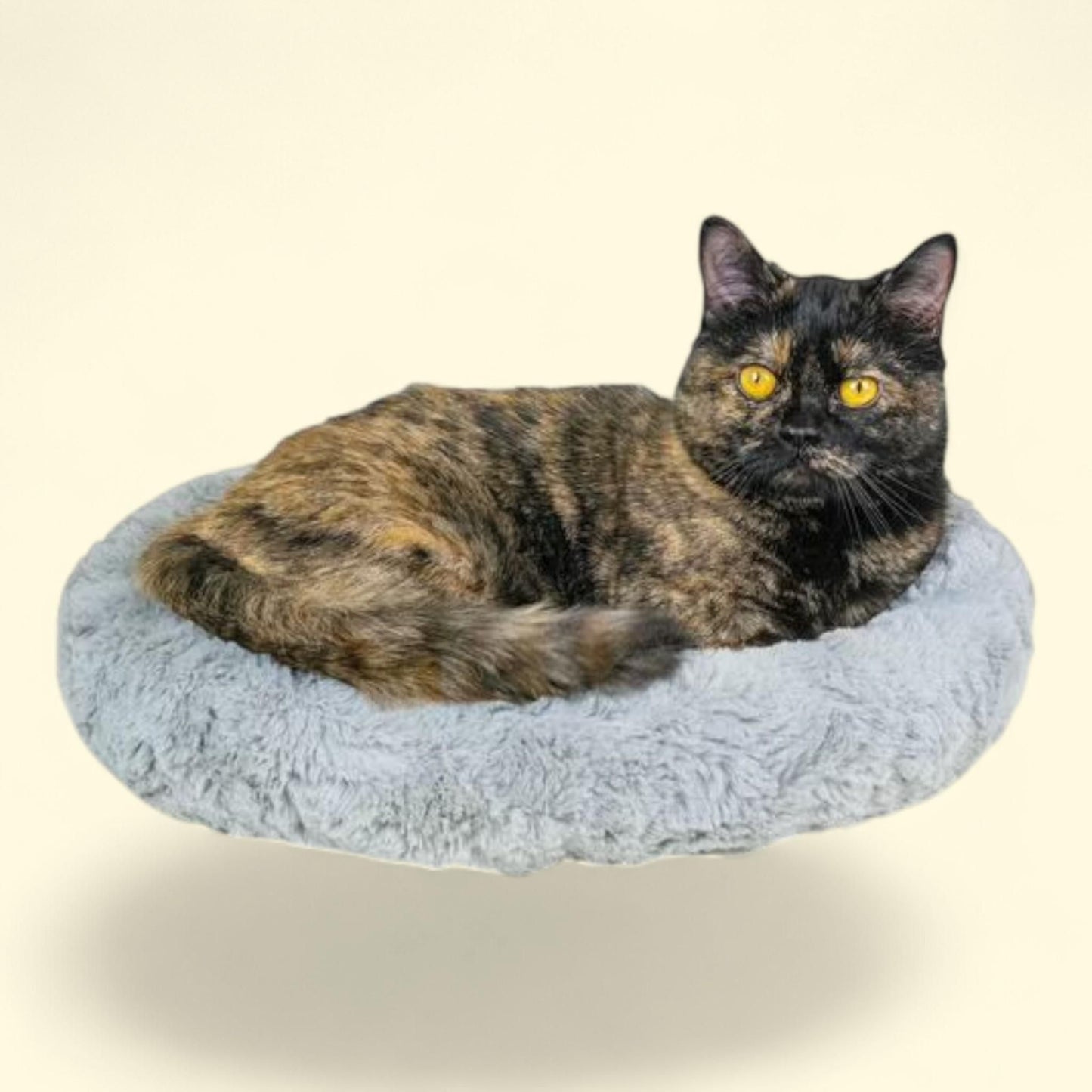 Best Friends by Sheri Cat Bed, 17x14, Gry