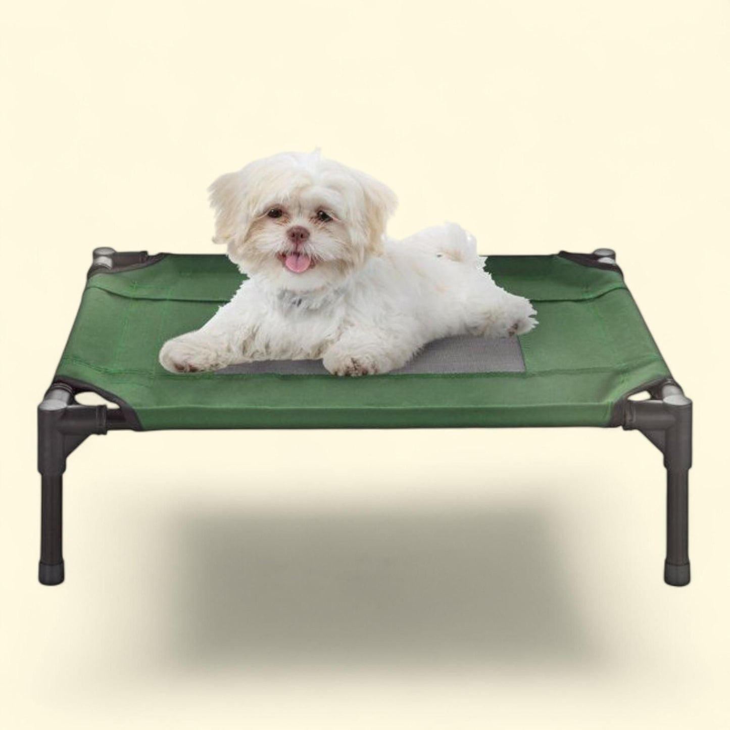 Petmaker Elevated Dog Bed, Portable Cot, Green, 24.5x18.5 — authentic US product shipped worldwide by Treatspree