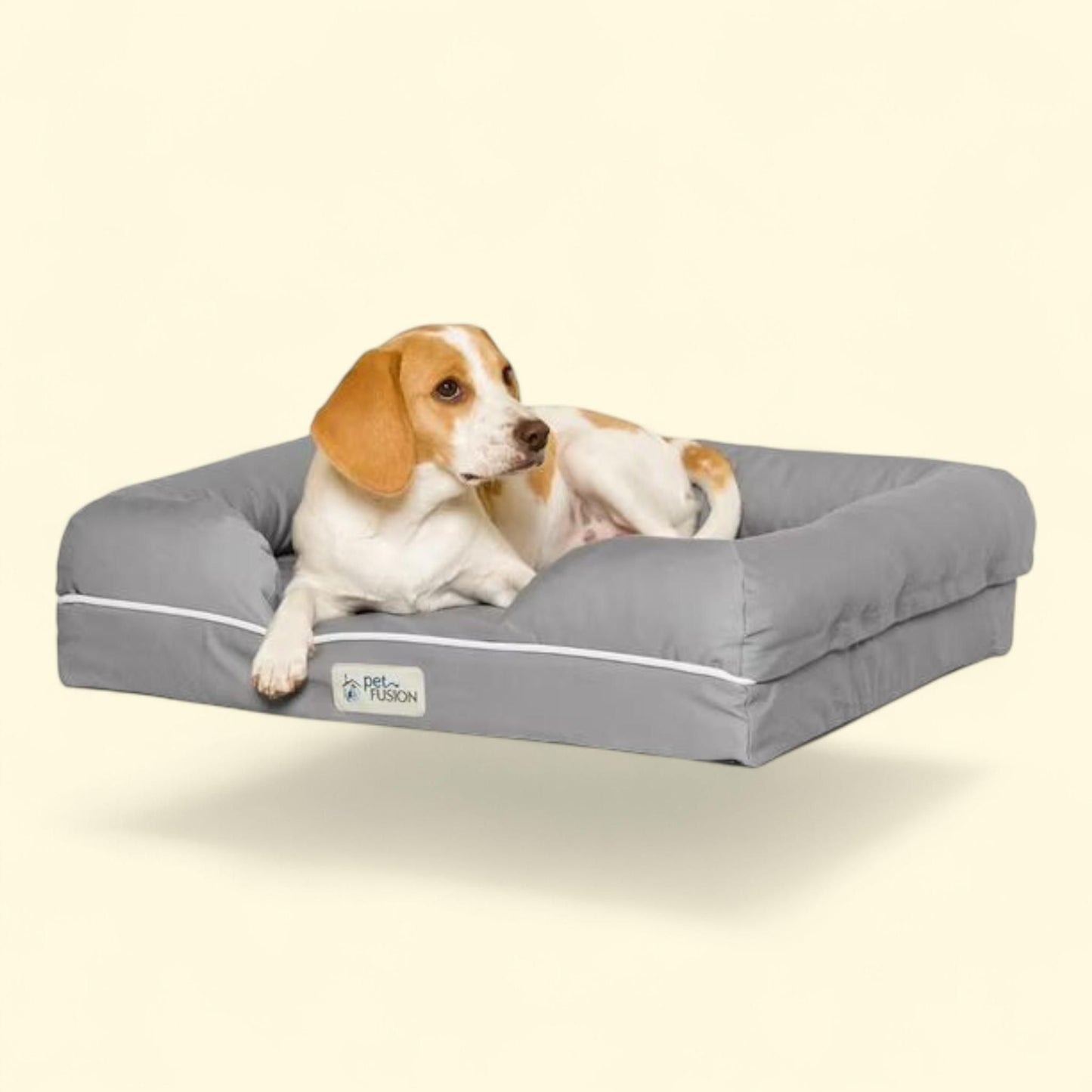 Lit et coussin pour chien PetFusion, petit format