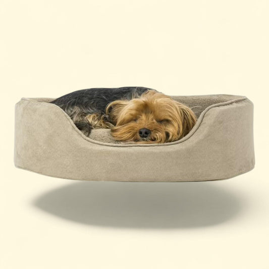 Lit pour chien FurHaven, lit ovale en polaire bouclée et daim, couleur argile, taille moyenne