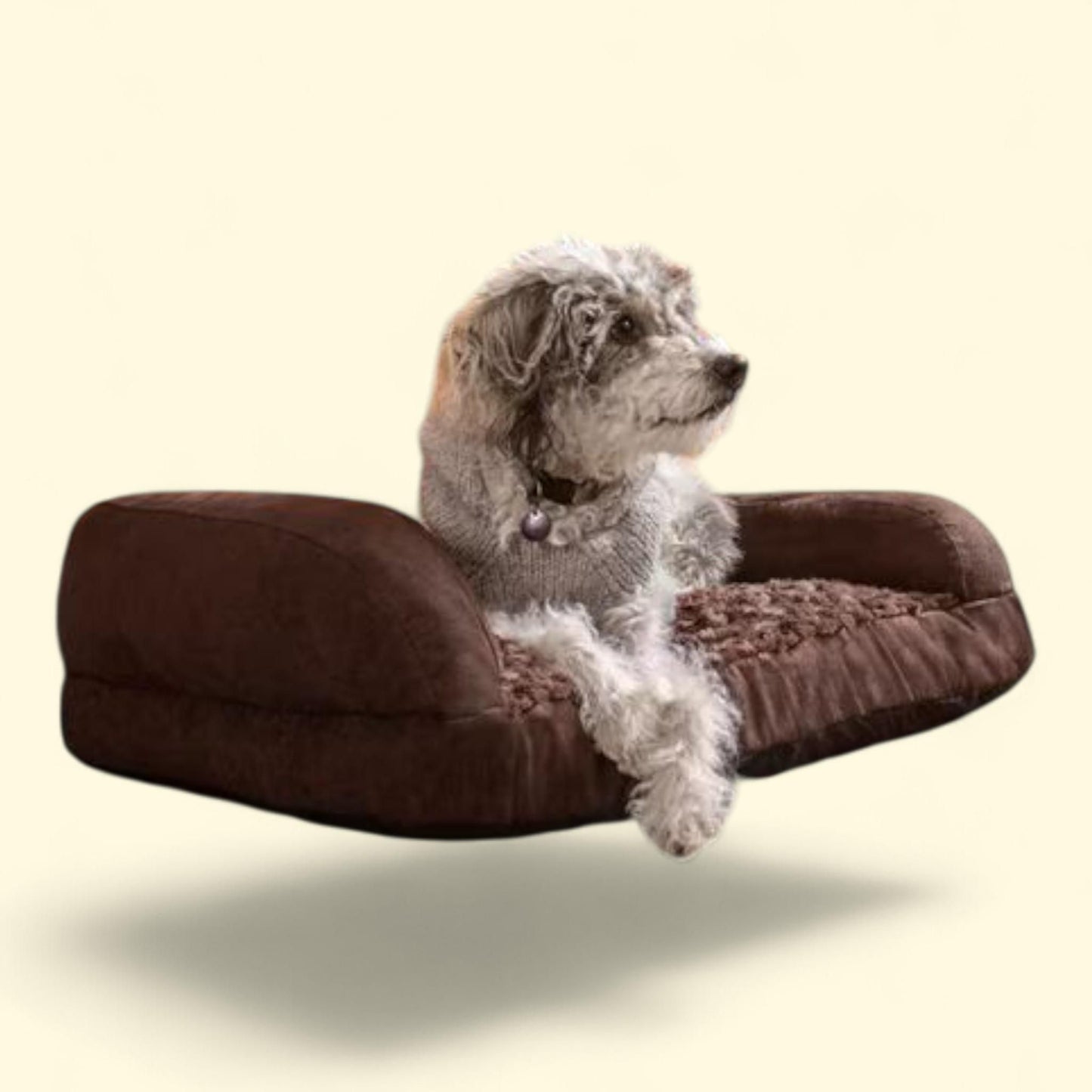 New Age Pet Buddy's Memory Foam Dog Cushion, Small